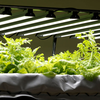 Dual-Spectrum LED Grow Light | 80 W - Midwest Grow LLC