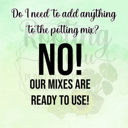 Eucalyptus Premium Potting Mix