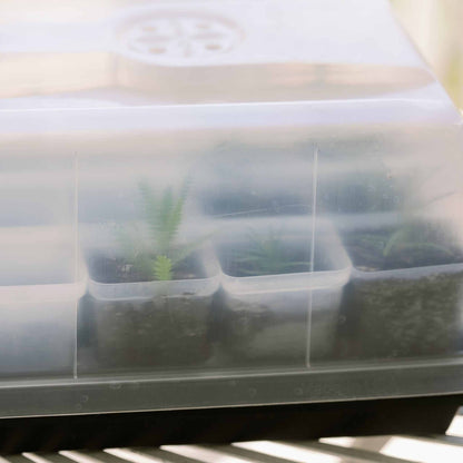 Propagation Kit | For Cuttings, Seedlings and More - Midwest Grow LLC