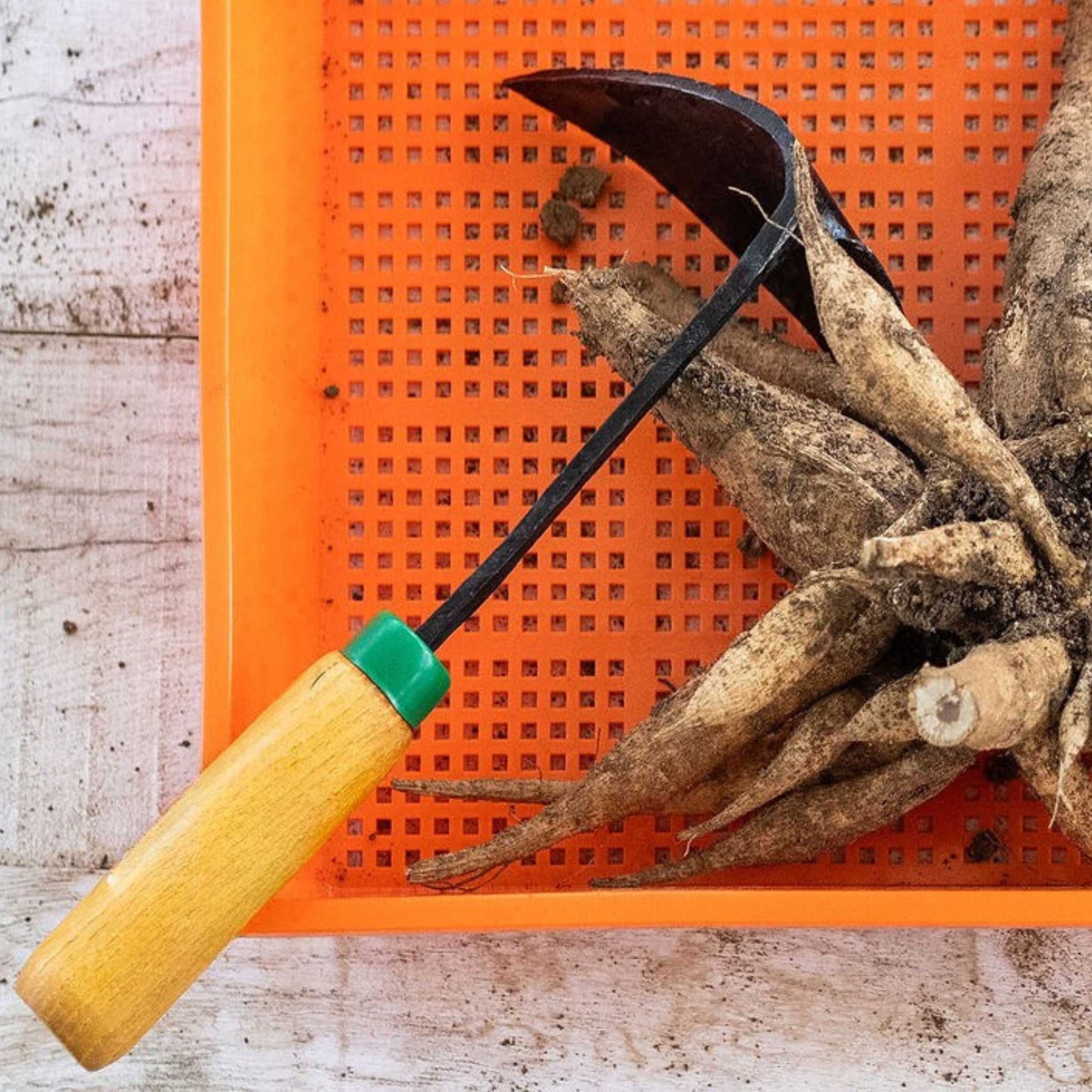 EZ-Digger Garden Tool Short Handle | 7 inch Blade - Midwest Grow LLC