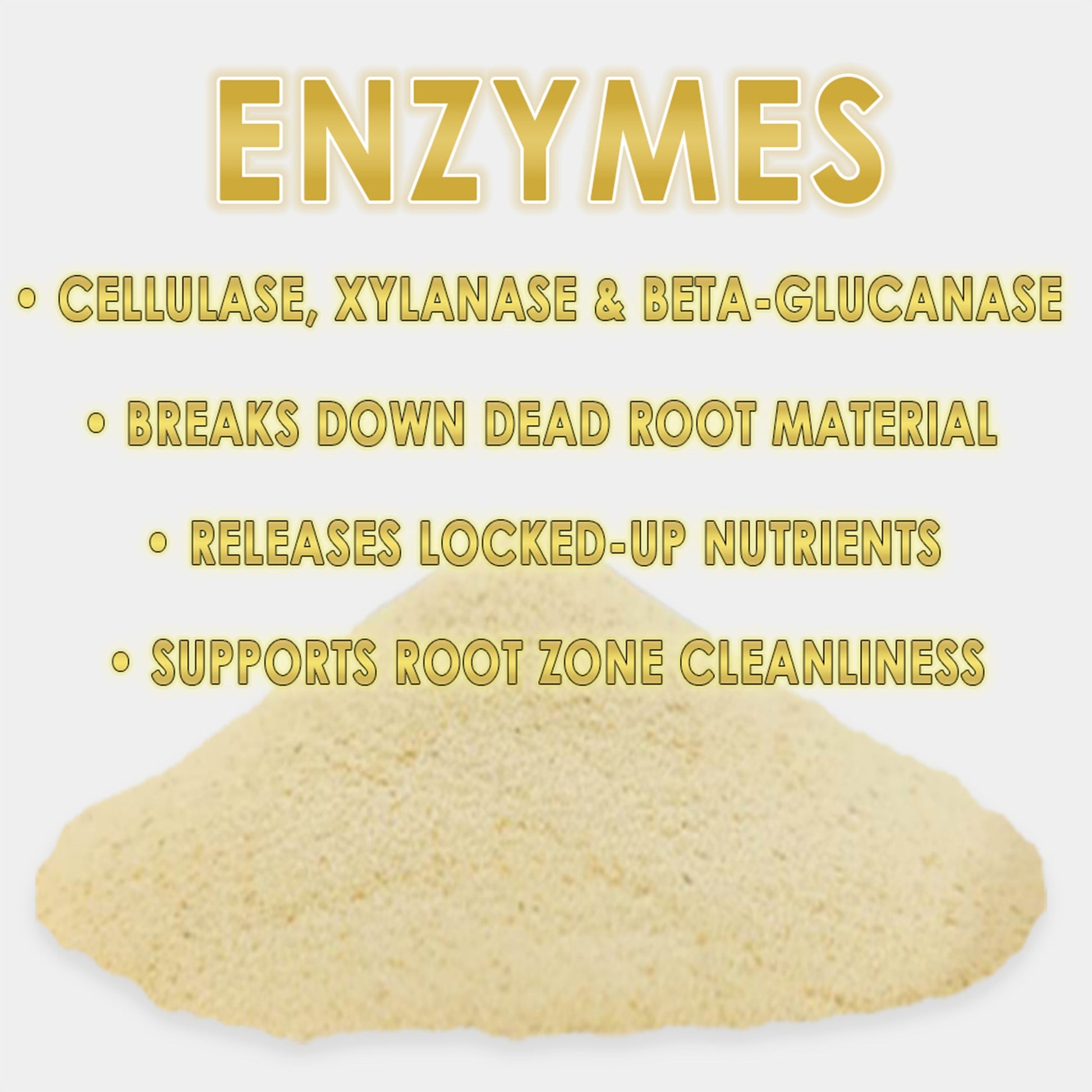 RAW Enzymes | Cellulase, Xylanase & Beta-Glucanase | Water-Soluble Supplement - Midwest Grow LLC