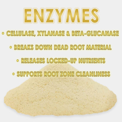RAW Enzymes | Cellulase, Xylanase & Beta-Glucanase | Water-Soluble Supplement - Midwest Grow LLC