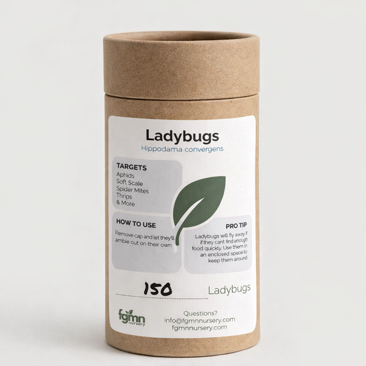 Ladybugs - Midwest Grow LLC