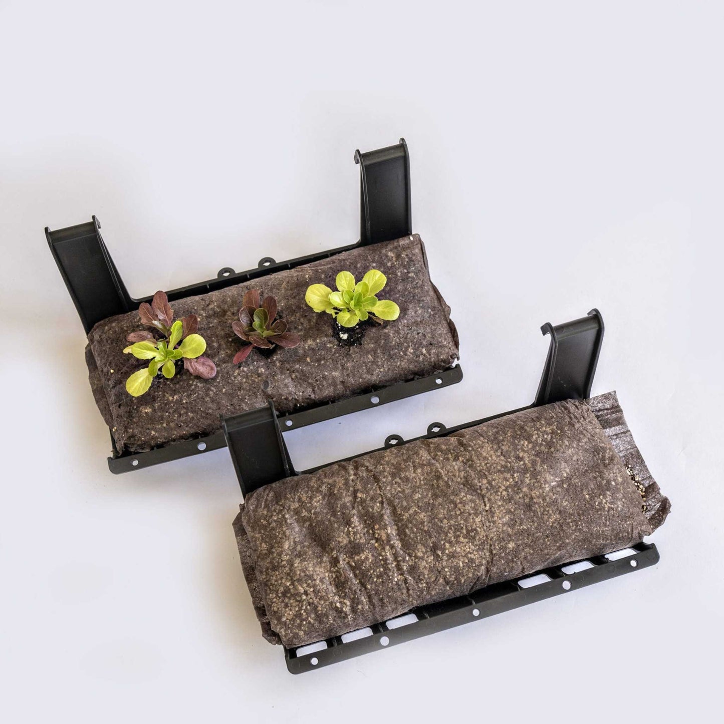 Filled Ellepot Pouches for Vertical Gardens - Midwest Grow LLC