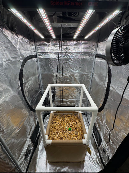 Hobby Grow Living Soil Raised Bed