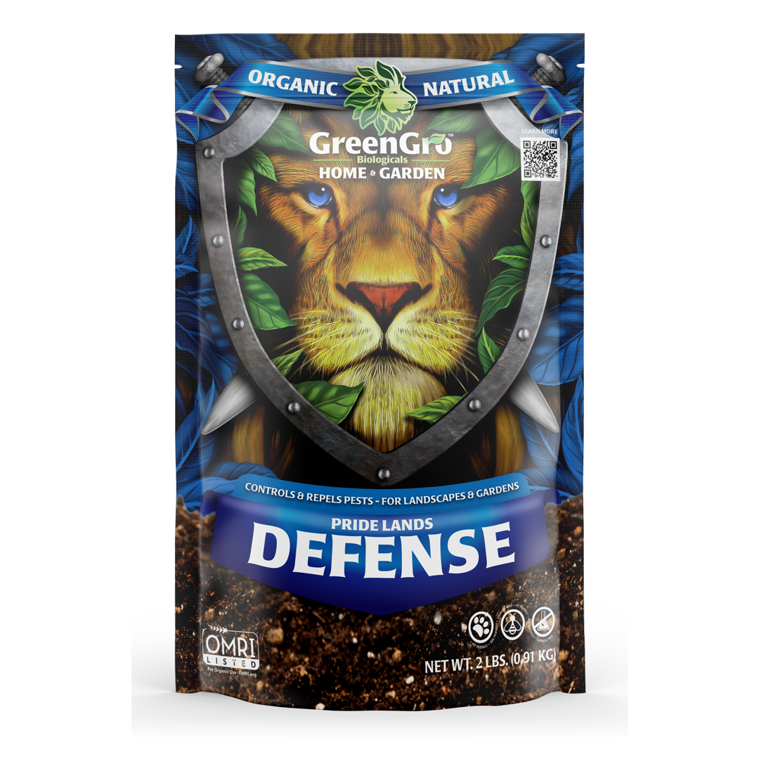 Pride Lands Defense