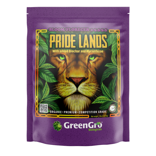 Pride Lands Bloom