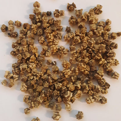 Rhubarb/Ruby Swiss Chard Seeds