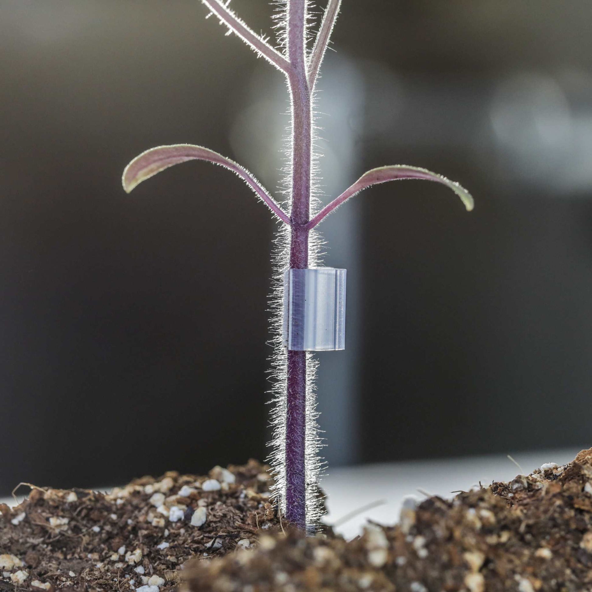 Grafting Clips with Channel - Midwest Grow LLC