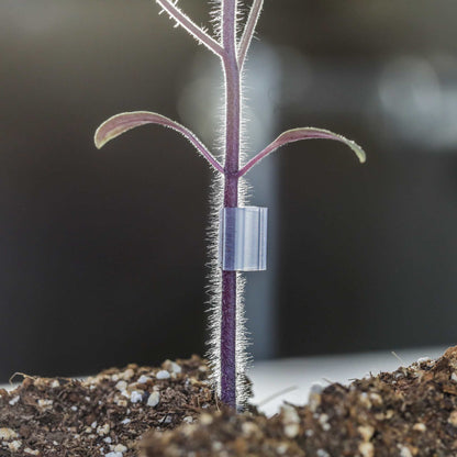 Grafting Clips with Channel - Midwest Grow LLC