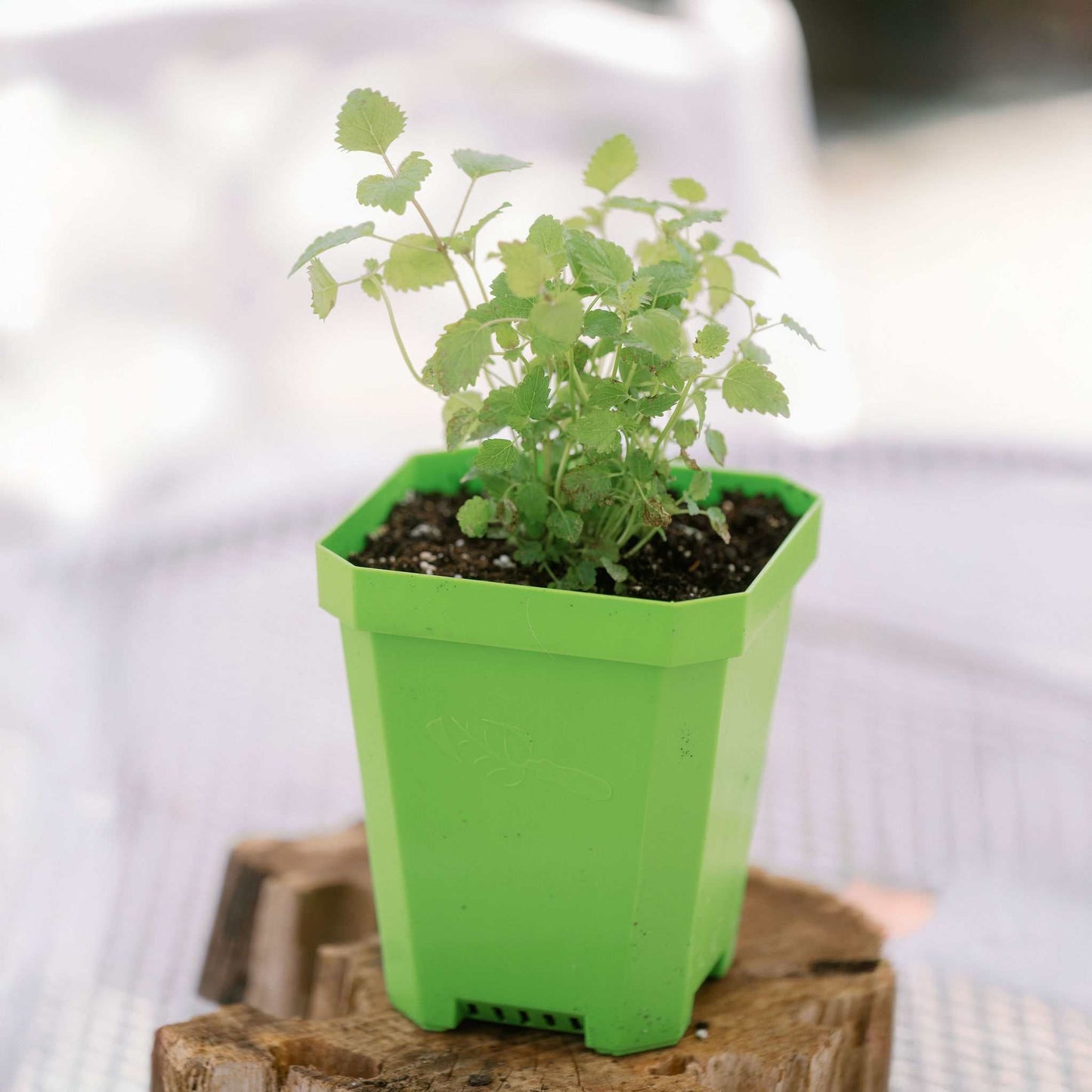 5" Nursery Pots with Insert Tray - Midwest Grow LLC