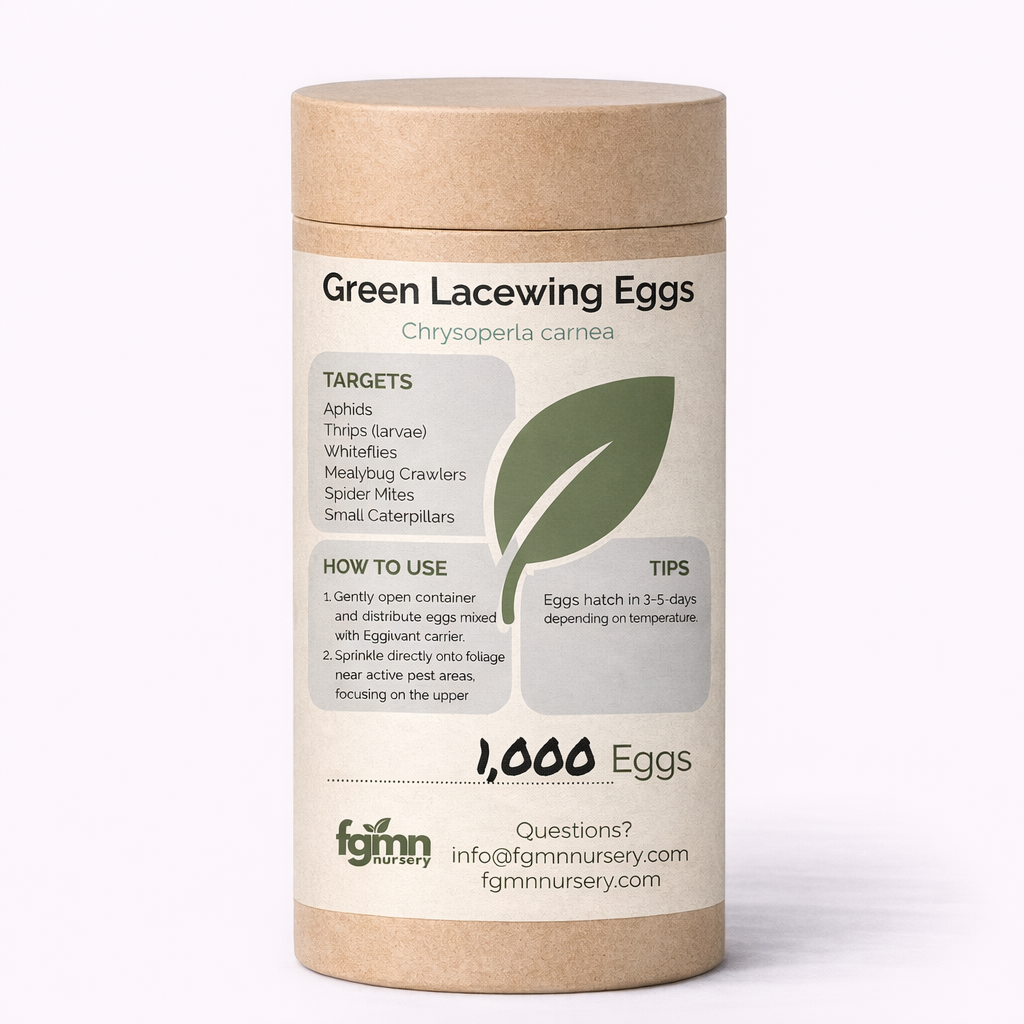 Green Lacewing Eggs - Midwest Grow LLC