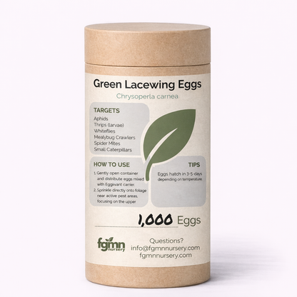 Green Lacewing Eggs - Midwest Grow LLC
