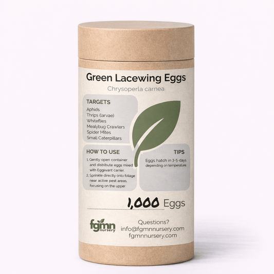 Green Lacewing Eggs - Midwest Grow LLC