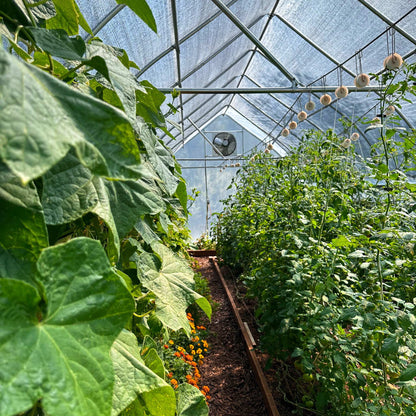 Greenhouse Shutter Mount Exhaust Fans - Midwest Grow LLC