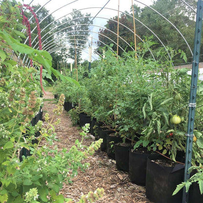 Grow Bags - 2 to 50 Gallon - Black - Midwest Grow LLC
