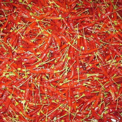 Hatch Valley Grown Piquin Hot Pepper Seeds