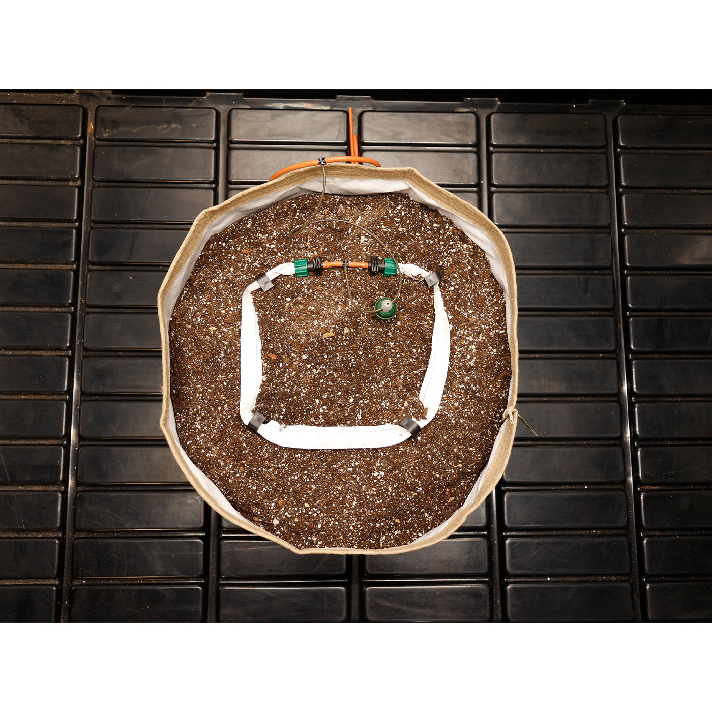 Blumat Irrigation for Pots - Midwest Grow LLC