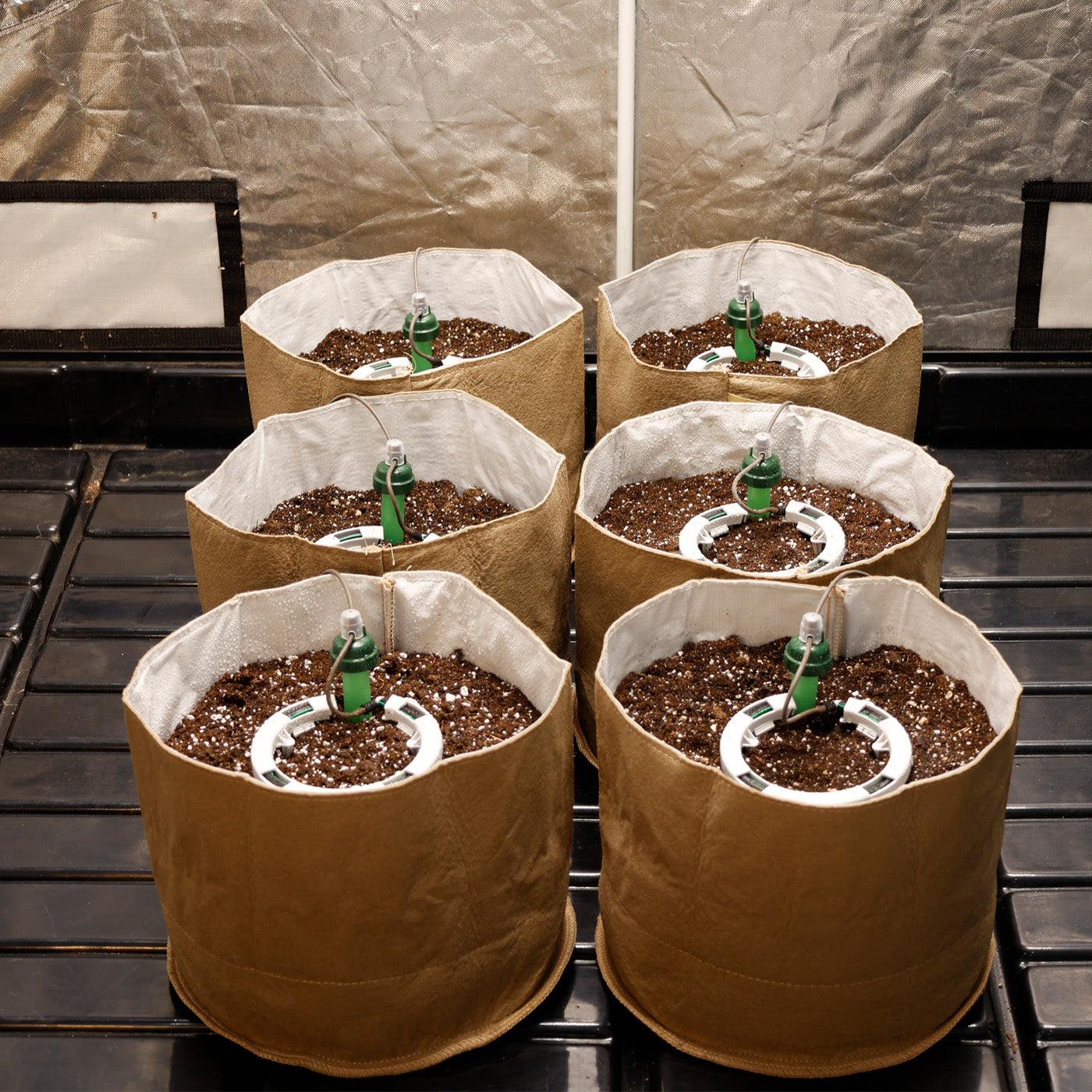 Preset Blumat Grow Tent Irrigation Kit - Midwest Grow LLC