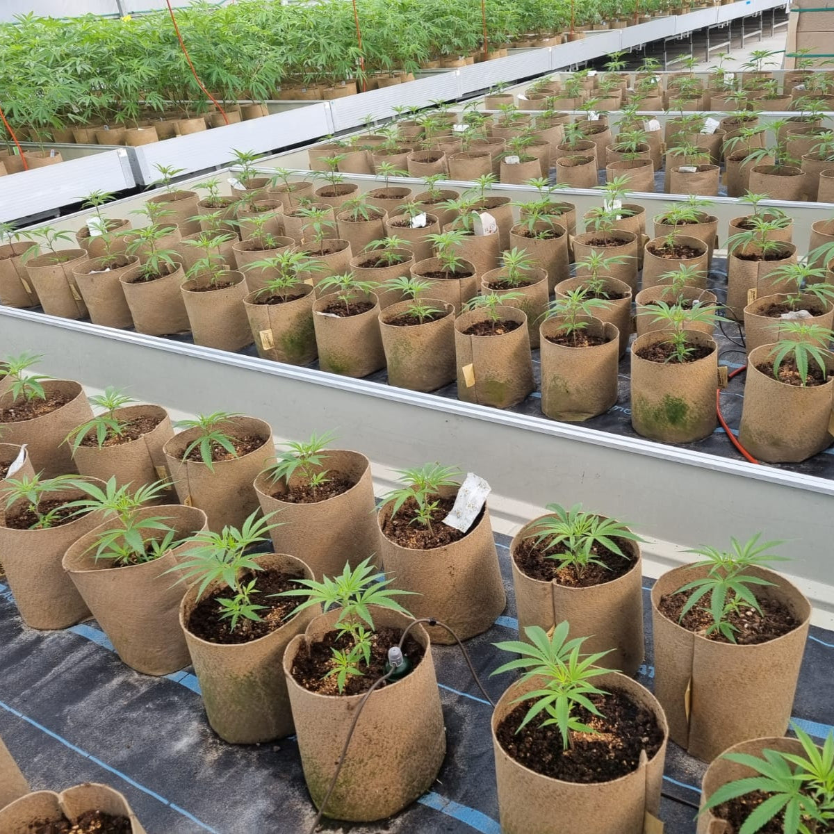 AquaMat Capillary Mat Systems - Midwest Grow LLC