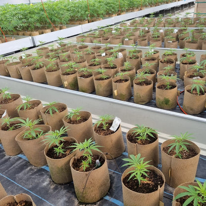 AquaMat Capillary Mat Systems - Midwest Grow LLC