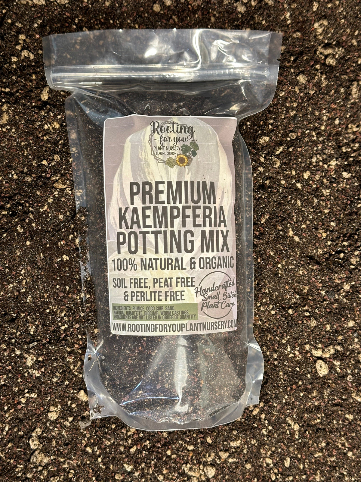 Kaempferia Ginger Premium Potting Mix