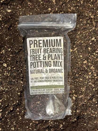 Fruit Bearing Tree and Plant Premium Potting Mix