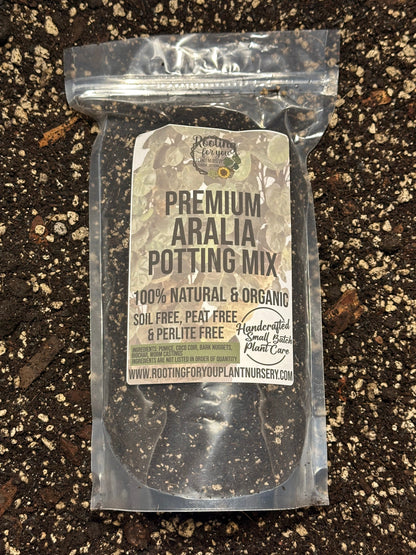 ARALIA - Aralia Fabian Stump - Ming Aralia - Fatsia Japonica Premium Potting Mix