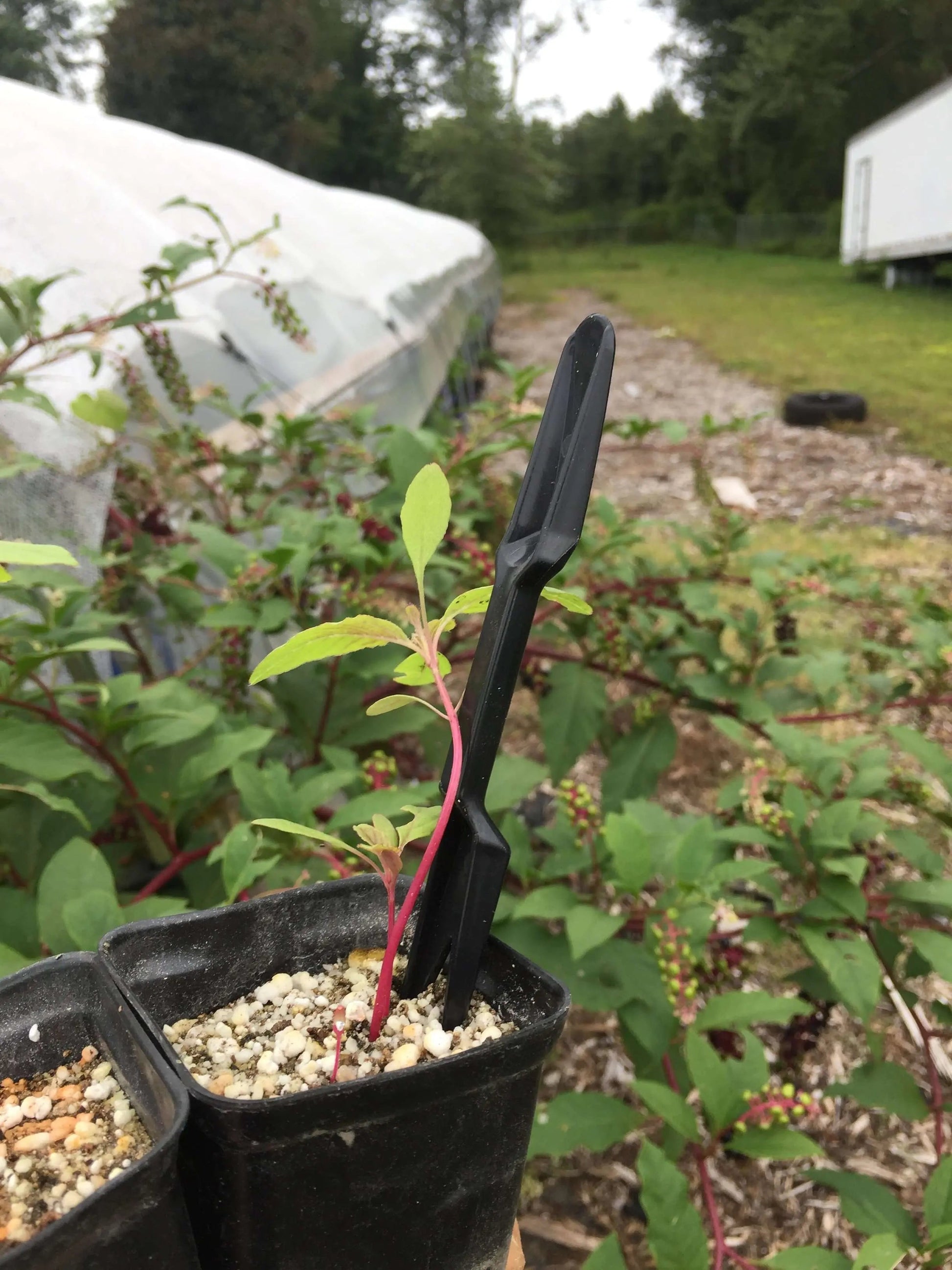 Widger Dibber Set - Midwest Grow LLC