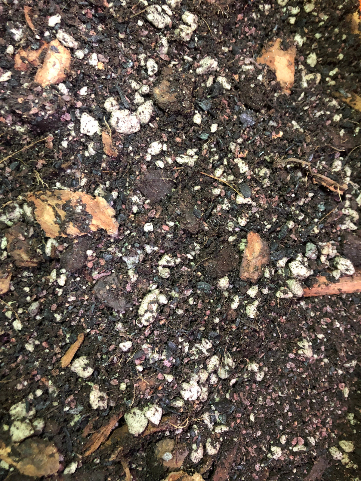 Citrus Tree Premium Potting Mix