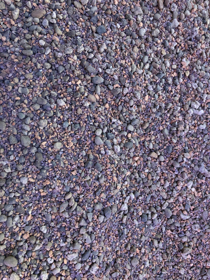Lithops Living Stone Premium Potting Mix