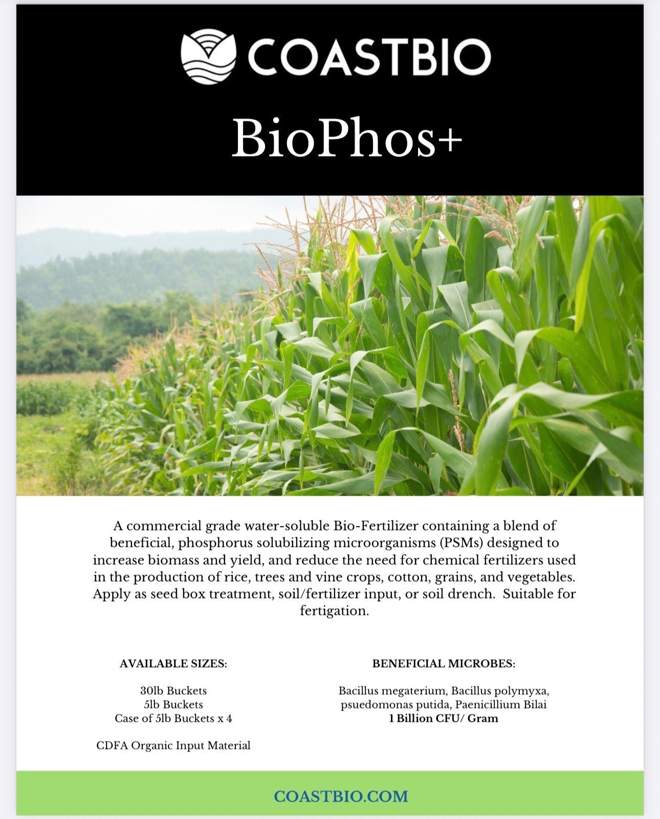 BioPhos+