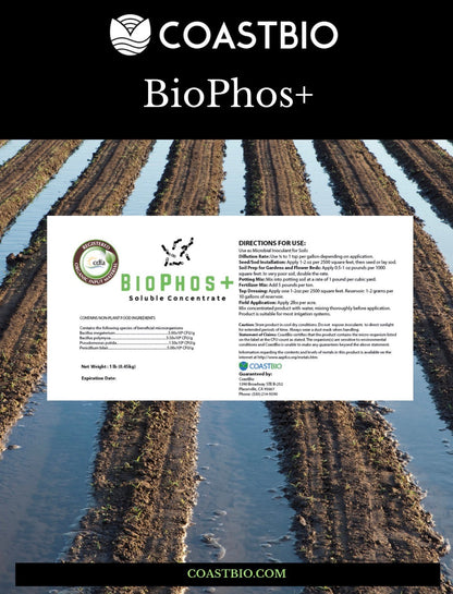 BioPhos+