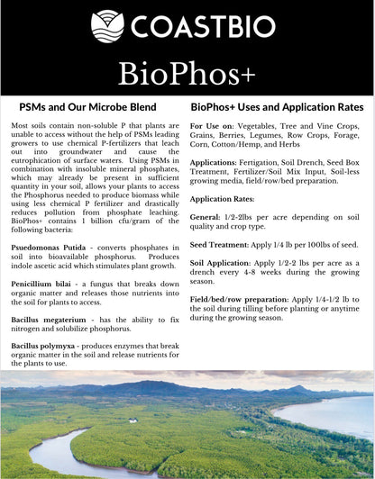 BioPhos+