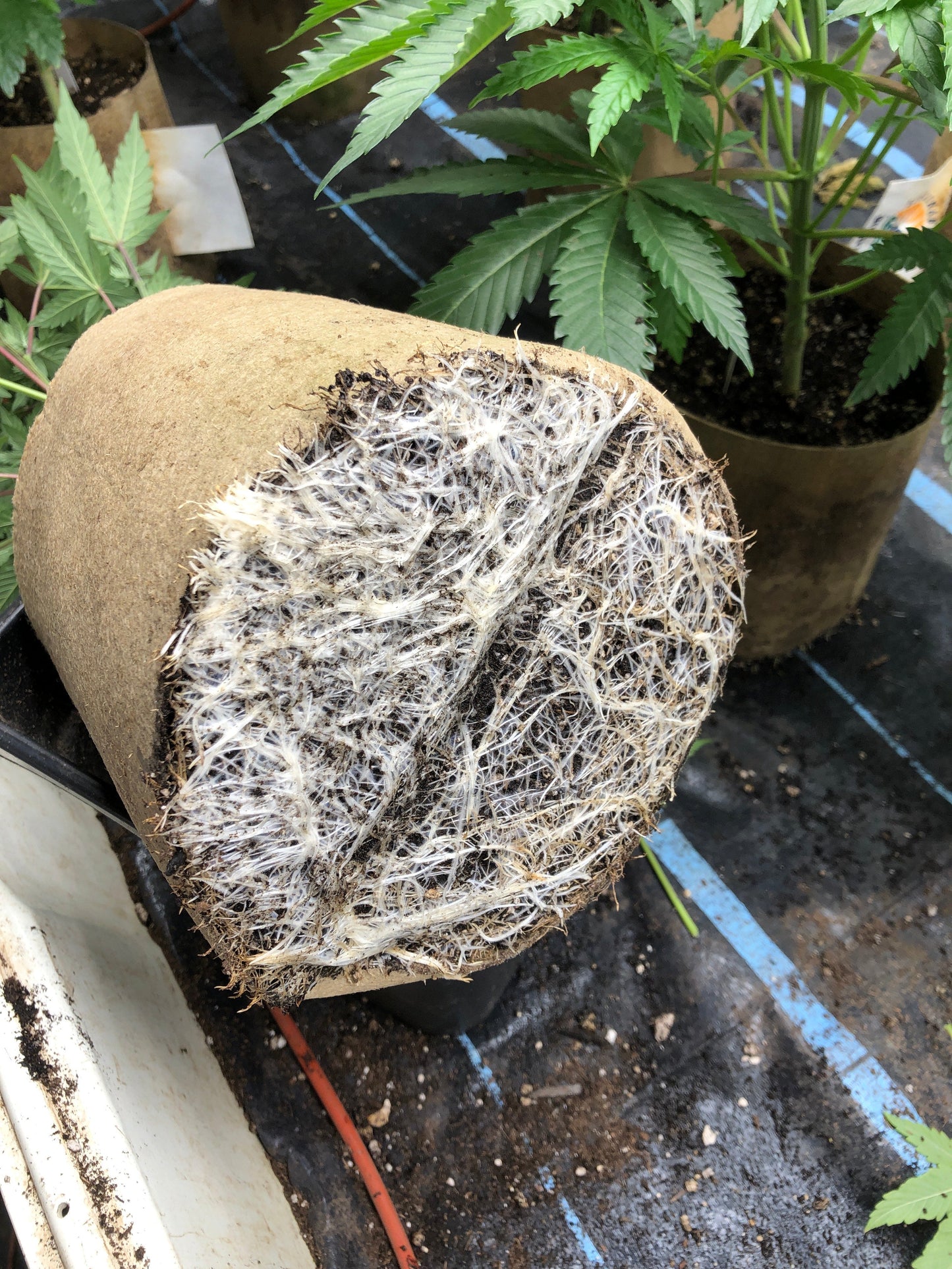 AquaMat Capillary Mat Systems - Midwest Grow LLC