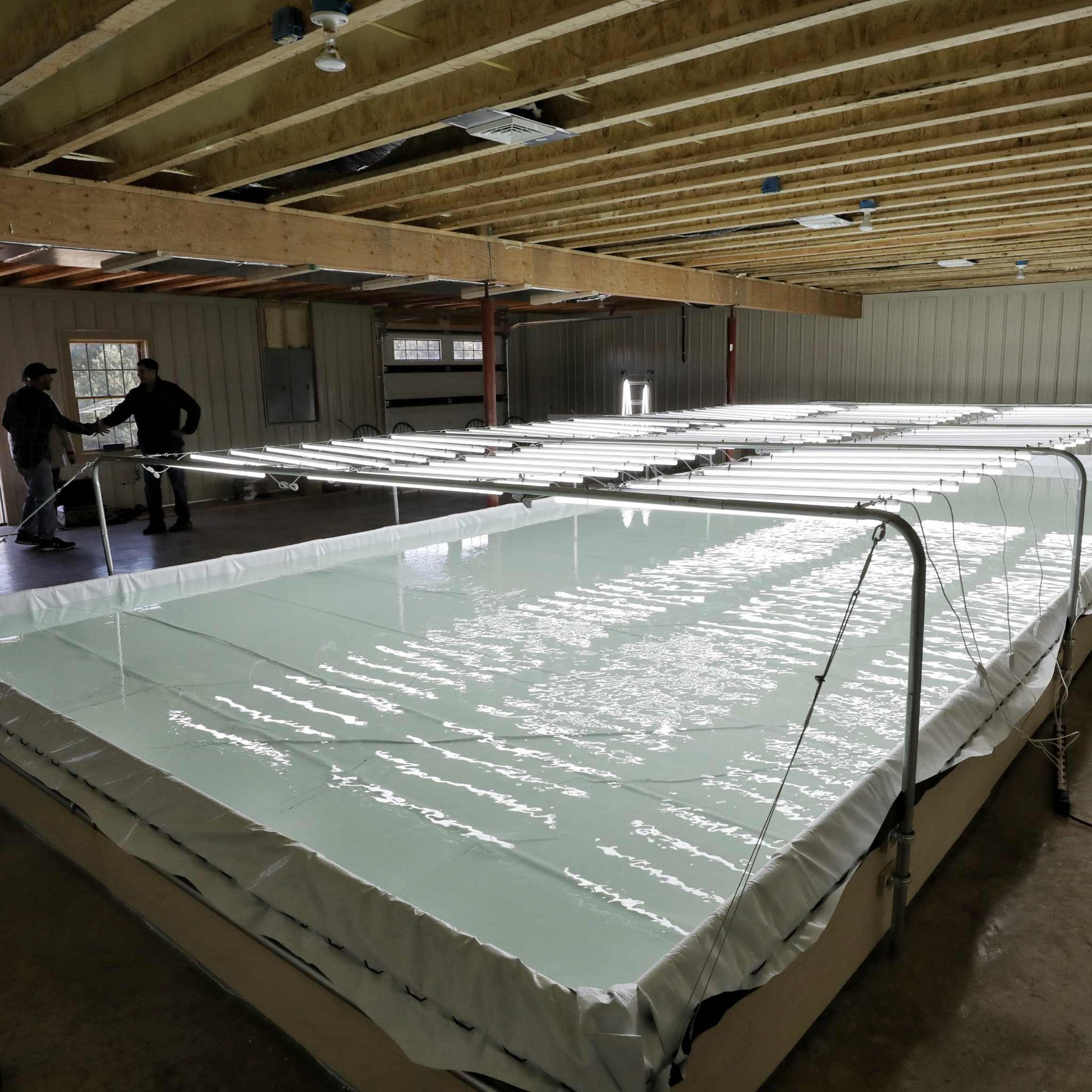 Deep Water Culture (DWC) Kit - Midwest Grow LLC