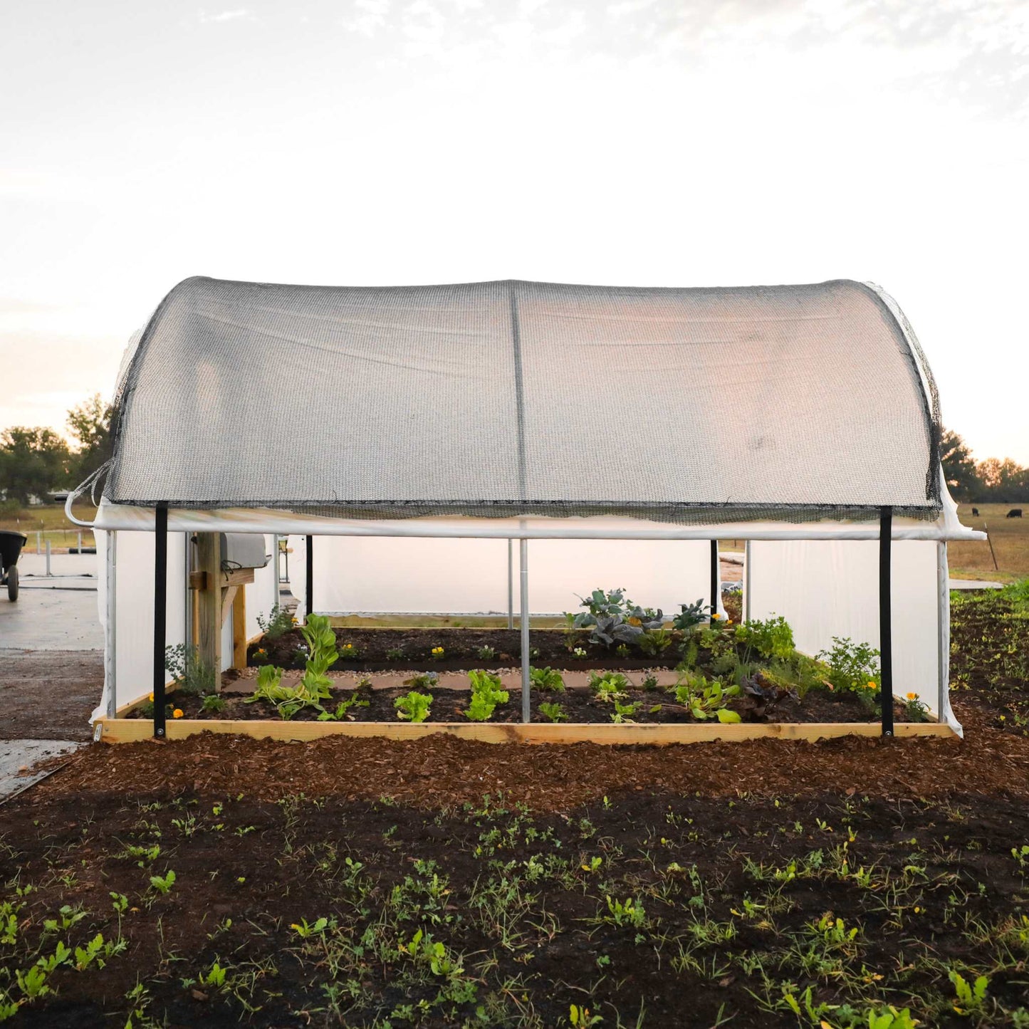 Roll-Up Side Kit for Hobby Greenhouse - Midwest Grow LLC