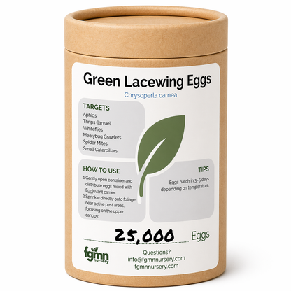 Green Lacewing Eggs - Midwest Grow LLC