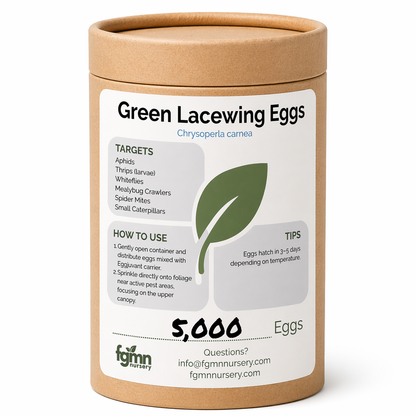 Green Lacewing Eggs - Midwest Grow LLC