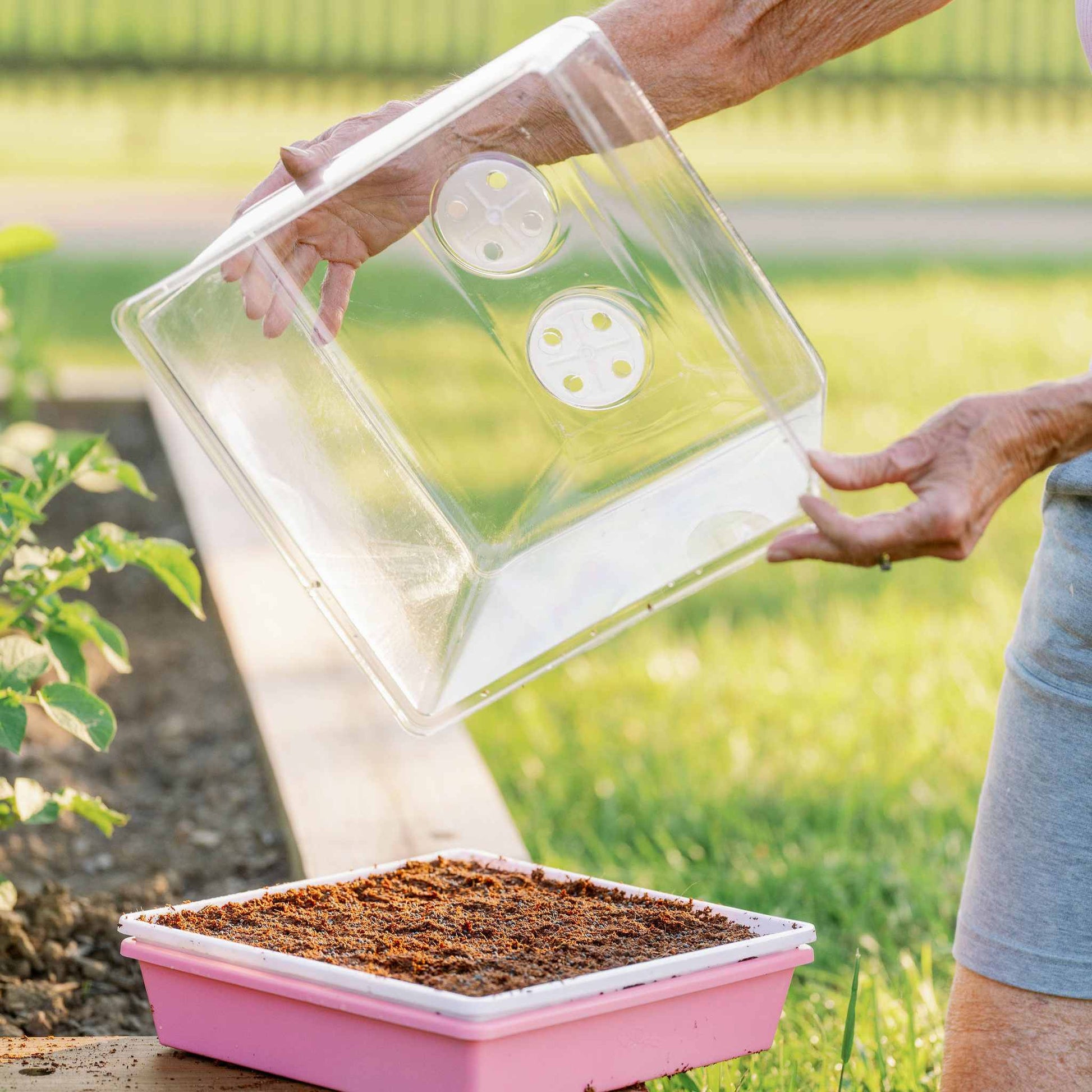 1010 Humidity Dome Tray Lids - Midwest Grow LLC