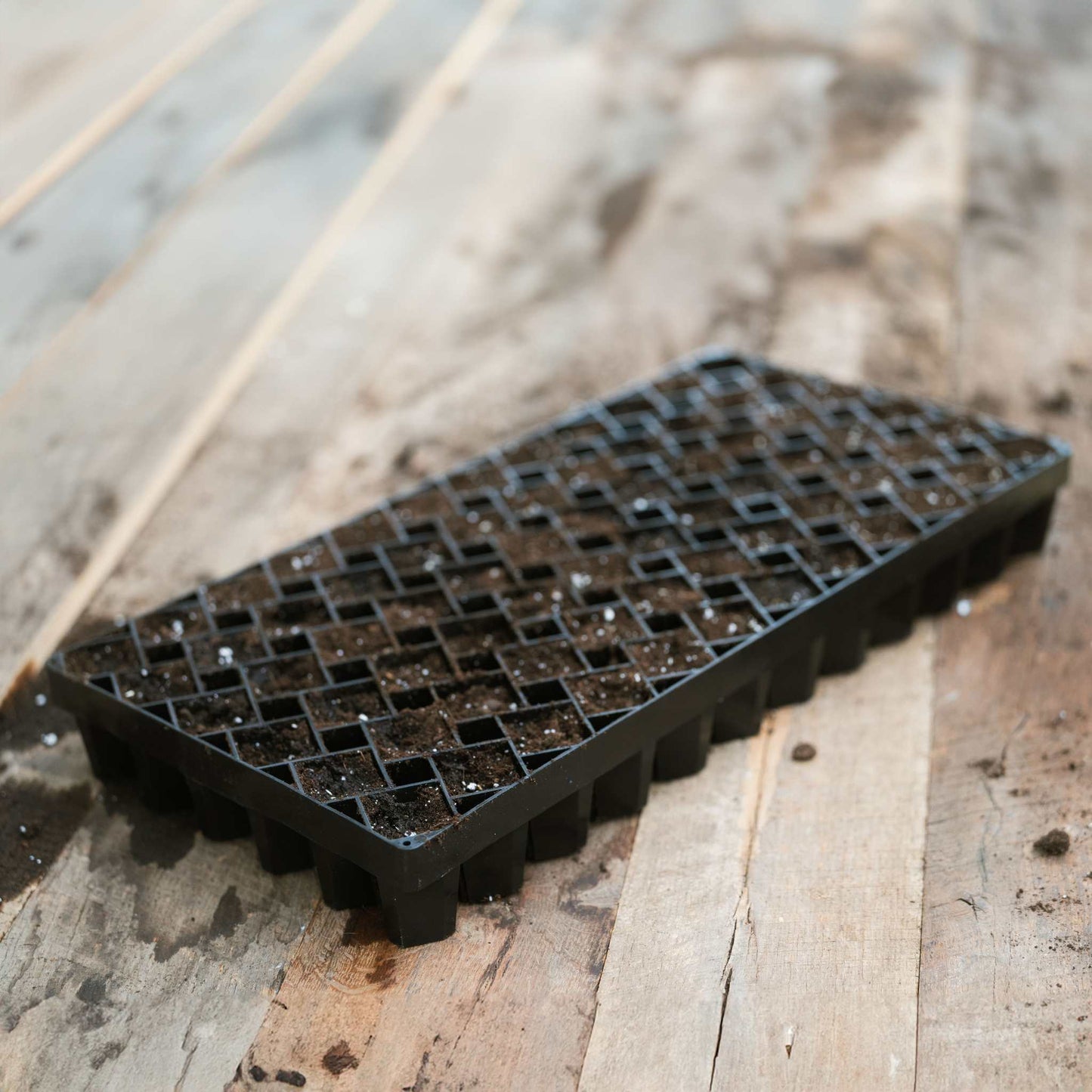 Air Prune Heavy Duty Propagation Tray - 72 Cell - Midwest Grow LLC