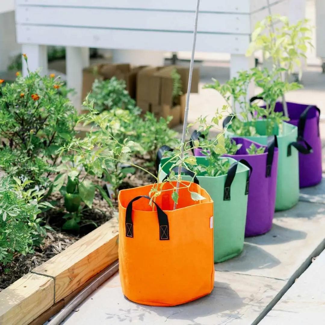 Grow Bags - 7 Gallon Colored Fabric Pots - Midwest Grow LLC