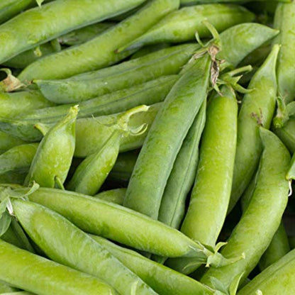 Little Marvel Bush Pea Seeds