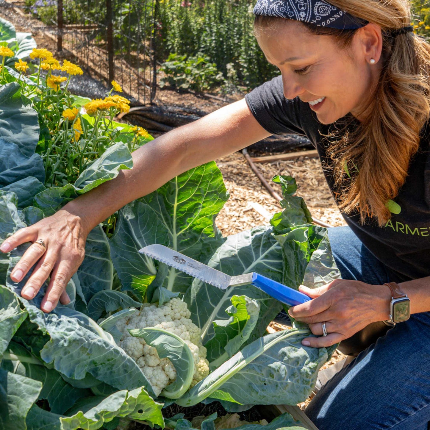 Harvest Knife for Spinach & Leafy Greens- Serrated - Midwest Grow LLC