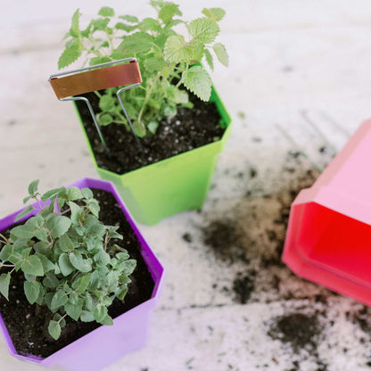 5" Nursery Pots with Insert Tray - Midwest Grow LLC