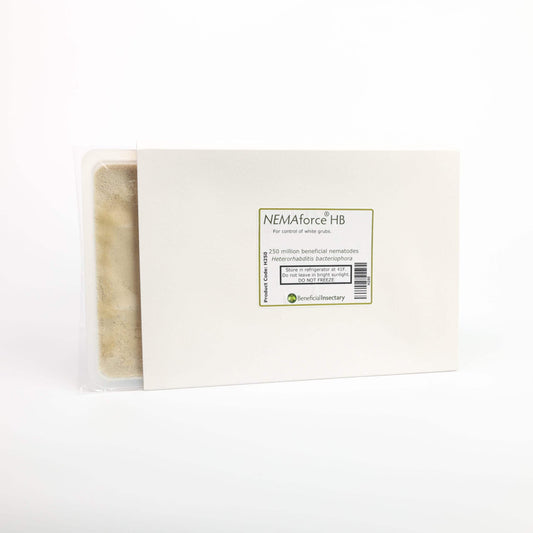 Nematodes NEMAforce HB Heterorhabditis bacteriophora