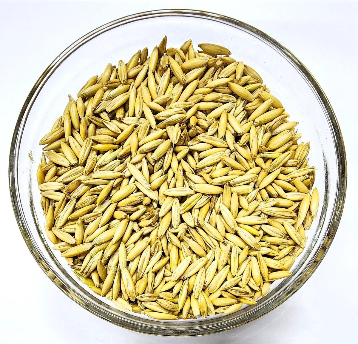 Spring Oats OG