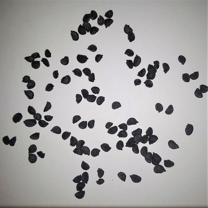 Onion Warrior Bunching Seeds
