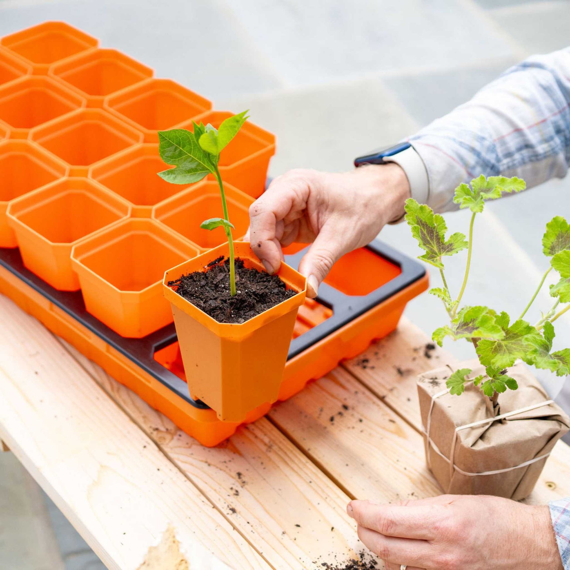 3.3" Heavy Duty Seed Starting Pots - Midwest Grow LLC