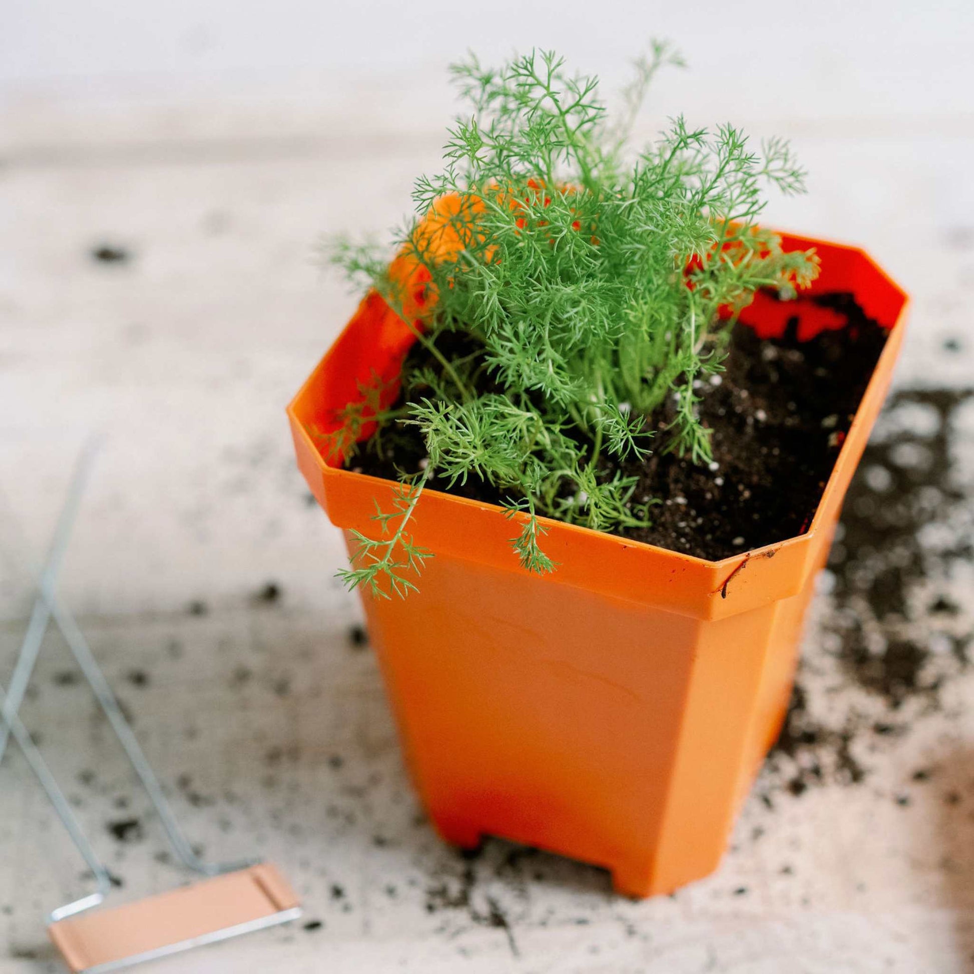 5" Heavy Duty Nursery Pots - Midwest Grow LLC
